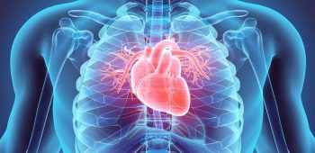 Cardiovascular