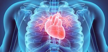 Cardiovascular