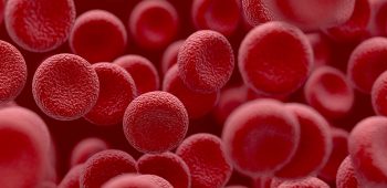 blood-cells-galore